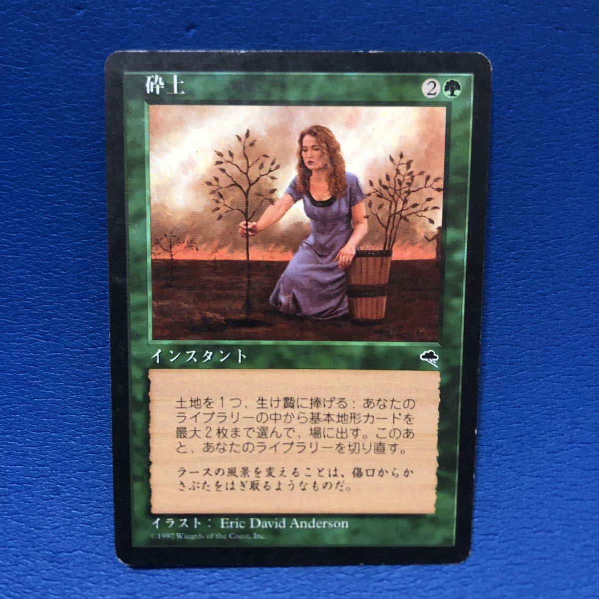 ファッション販売中 MTG 直観 日本語版 3枚セット fundacaolacorosa.com