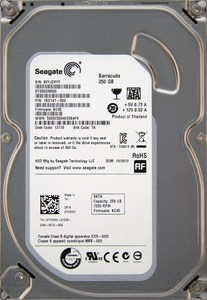Seagate ST250DM000-1BD141-500 DP/N 0YVMKX 3.5インチ SATA600 250GB 4729回 8098時間 ジャンク