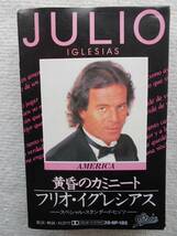 フリオ・イグレシアス JULIO IGLESIAS●カセット●黄昏のカミニート ●スペイン出身のポピュラー音楽歌手_画像1