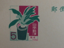 当時物 アンティーク コレクターズアイテム 日本郵政 日本郵便 ５円葉書 ハガキ はがき 1959年 敬老の日 鉢植え No.3184_画像2