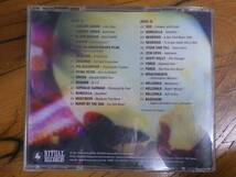 中古 CD COLLAPSED ritual records sampler 2002 (コラプス リチュアル・レコーズ・サンプラー２００２)_画像3