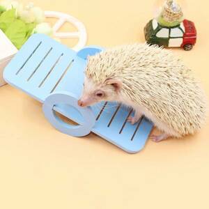 # free shipping hamster teeter * color is Random. /// small animals toy z10