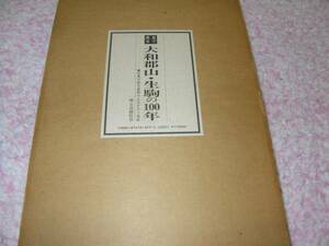 目で見る大和郡山・生駒の１００年　大和郡山市・生駒市・生駒郡　奈良県