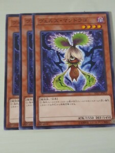 遊戯王 ヴェルズ・マンドラゴ 三枚 数量6