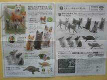 ウサギ　日本ペット動物大全第1集より飼いウサギ色違い3種　新品　カプセルＱ_画像1