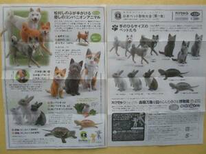 ウサギ　日本ペット動物大全第1集より飼いウサギ色違い3種　新品　カプセルＱ