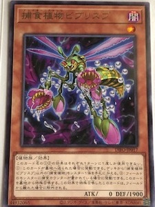 遊戯王 カード 捕食植物ビブリスプ