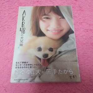 AKB48の犬兄妹　本