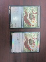 MTG　気前のいい訪問者　日本語　FOIL_画像1