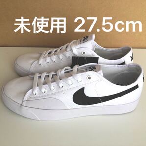 ナイキ SB BLZR コート
