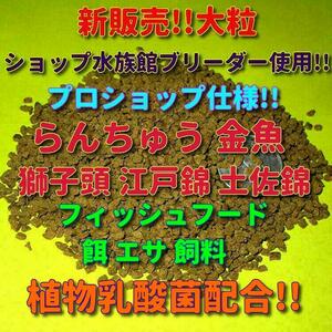 新販売 大粒 500g!! 餌 ショップ 水族館使用 らんちゅう 和金 土佐錦 丹頂 大盛 エサ 飼料 プロ仕様 沈下 熱帯魚 観賞魚 フィッシュフード