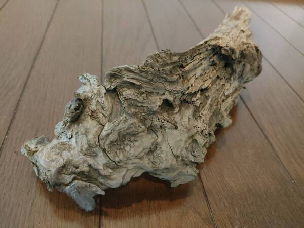 　☆天然流木 水槽 １点物 アクアリウム オブジェ アート 41×11×7.2cm 大和川　爬虫類 トカゲ　へび　インテリア　魚　隠れ家　めだか