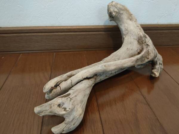 ☆天然流木 水槽 1点物 アクアリウム オブジェ アート 28×16×5.5cm 大和川 爬虫類 トカゲ へび インテリア 魚 隠れ家 めだか