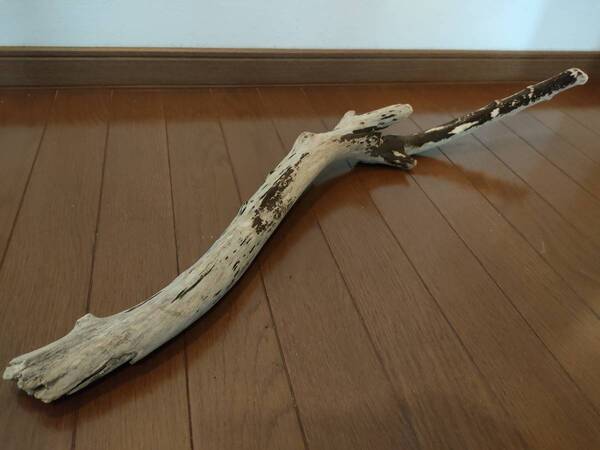 ☆天然流木 水槽 1点物 アクアリウム オブジェ アート 77×15×9cm 大和川 爬虫類 トカゲ ヘビ インテリア 魚 めだか 隠れ家 大型