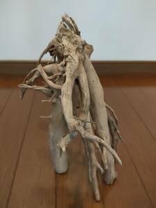 * natural driftwood aquarium 1 point thing aquarium objet d'art art 27×15×14cm Yamato river reptiles and . snake interior fish medaka branch root .. house 