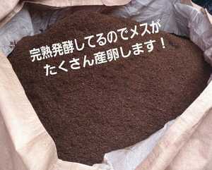 天然バクテリアカブトムシマット【100L】オオヒラタケ菌床を粉砕し自然界の有効菌のみで野外発酵！国産カブトムシ85mmアップが続出してます