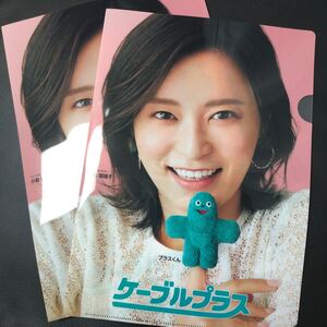 【非売品】小島瑠璃子クリアファイル