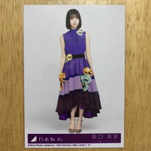 乃木坂46 阪口珠美 Actually… 封入 生写真 ヒキ 1枚 検) 店舗 限定 29th シングル アクチュアリー