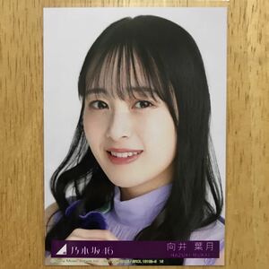 乃木坂46 向井葉月 Actually… 封入 生写真 ヨリ 1枚 検) 店舗 限定 29th シングル アクチュアリー