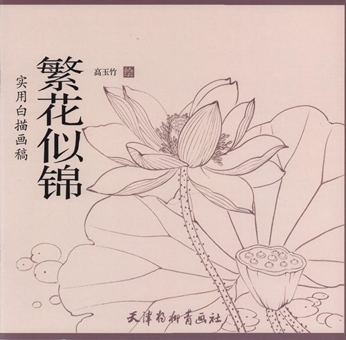9787554705544 Hanbana Nijin 꽃 선 그리기 실용적인 흰색 그리기 초안 성인 색칠하기 책 중국어 그림, 미술, 오락, 그림, 기술서