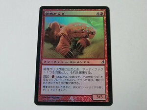 MTG 美品 【鋳塊かじり（FOIL）】 （コモン） LRW 日 1枚迄