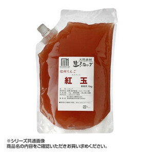 かき氷生シロップ 信州りんご紅玉 業務用 1kg(a-1619410)