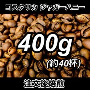 【注文後焙煎】コスタリカ ジャガーハニー 400g 送料無料 コーヒー豆