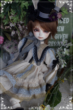 Rosenlied 水曜子サイズ 限定ドレス HK Dollism plus 8 - Rollingpumpkin 未開封品 _画像5