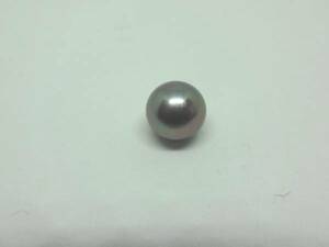 タヒチ真珠ルース　11.54mm