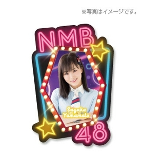 NMB48個別マグネットフォトフレーム　山本彩(TeamN)