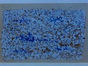 Art hand Auction Mark Tobey, Untitled Composition 459, 希少画集画, 新品額装付, 絵画, 油彩, 抽象画