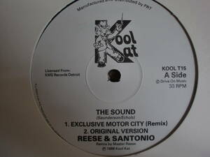 Reese & Santonio The Sound / How To Play Our Music / Groovin Without A Doubt