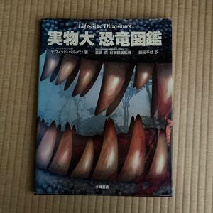 実物大 恐竜図鑑/デヴィッドベルゲン 【著】 ,真鍋真 【日本語版監修】 ,藤田千枝 【訳】