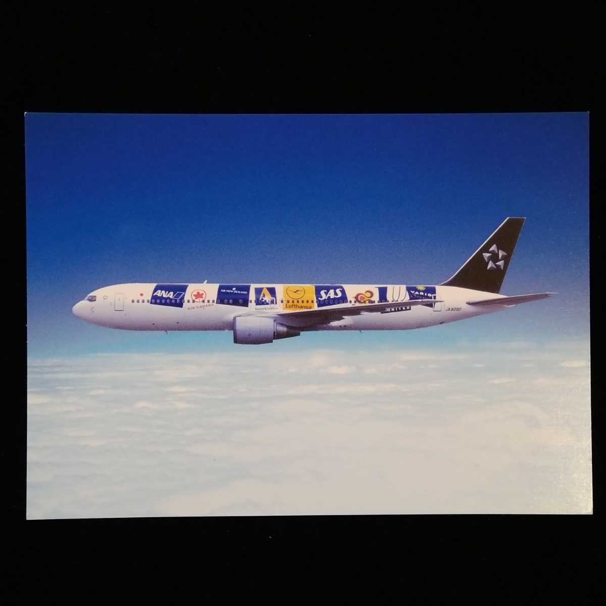 未使用品 全日本空輸(ANA)B767?窓ガラス41*29*1cm 処分市で購入 mon