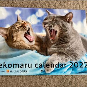 猫 カレンダー 2022