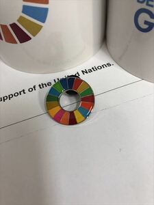 （国連ブックショップ購入・送料無料）SDGs ピンバッジ　 1個（990円税込）（新品未使用）(ラバークラスプ再生素材)（保存小分袋1枚付UN70