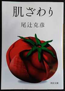 尾辻克彦『肌ざわり』河出文庫