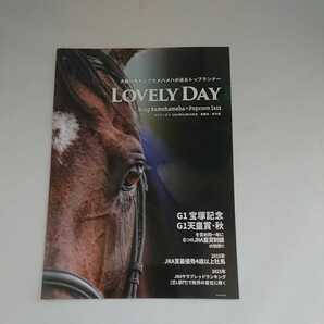 ラブリーデイ 種牡馬パンフレット ブリーダーズスタリオンステーション 送料無料