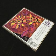 CD Da Troppo Tempo Sanae Sakata 愛遥かに 坂田早苗 cdp-1048_画像4