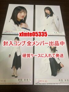 幸阪茉里乃 櫻坂46 五月雨よ 封入生写真 4種コンプ 　検索(CD ってか 1st TOUR 2021 日向坂46 乃木坂46 応募券