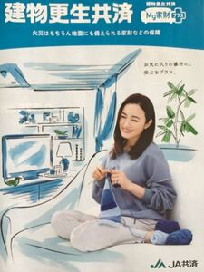 仲間由紀恵　★JA共済期間限定パンフ　★A4サイズ　★新品・非売品