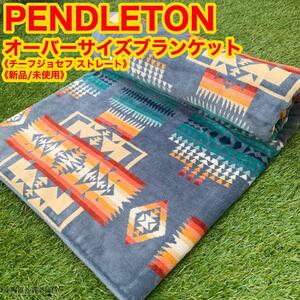 《新品》ペンドルトン タオルブランケット チーフジョセフストレート