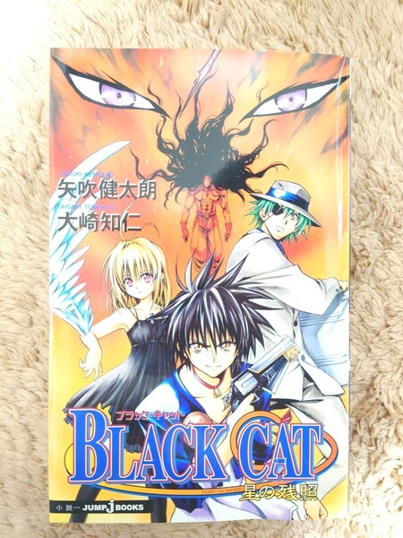 ブラックキャット Black cat 星の残照 小説