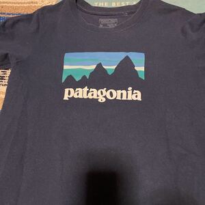 PatagoniaレディースTシャツ