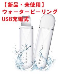 ウォーターピーリング 超音波 美顔器 ピーリング スマートピール 超音波振動 1台4役 USB充電式