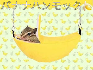  banana hammock 