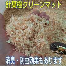 成虫管理にはこれが一番です！爽やかな香りの針葉樹クリーンマット【20L】生体が目立ちケース内が明るくなる！コバエやダニもわきません！_画像2