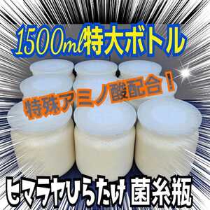 特大サイズ1500ml　ヒマラヤひらたけ菌糸ボトル　極上！初菌のみ使用☆トレハロース・ローヤルゼリー強化配合！オオクワ、ヒラタに抜群！