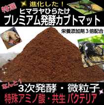 進化した！プレミアム3次発酵カブトムシマット☆特殊アミノ酸など栄養添加剤を3倍配合！トレハロース、ローヤルゼリー強化☆微粒子仕上げ！_画像5