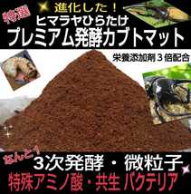 外国産カブトムシに抜群！進化した！プレミアム3次発酵マット☆特殊アミノ酸3倍配合☆トレハロース・ローヤルゼリー強化！ギネス級狙えます_画像5